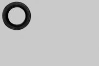 Garten Dichtung p.f.Welle