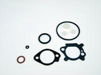 Garten Dichtungssatz p.f.B&S 498261