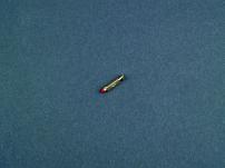 Garten Vergasernadel ohne Sitz Tecna