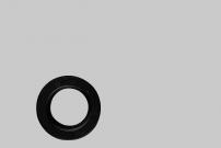 Garten Dichtung p.f.Welle 27876B