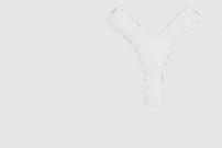 Garten Schlauchverbinder Y-Form 12mm