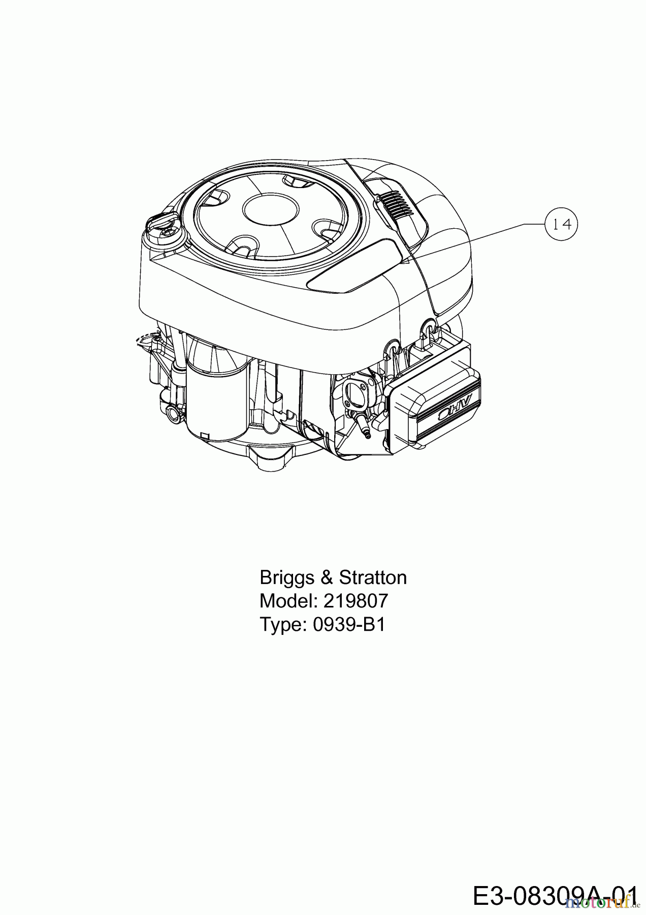  Efco Rasentraktoren Kommand 80/12,5 T 13AH77KC637  (2013) Motor Briggs & Stratton