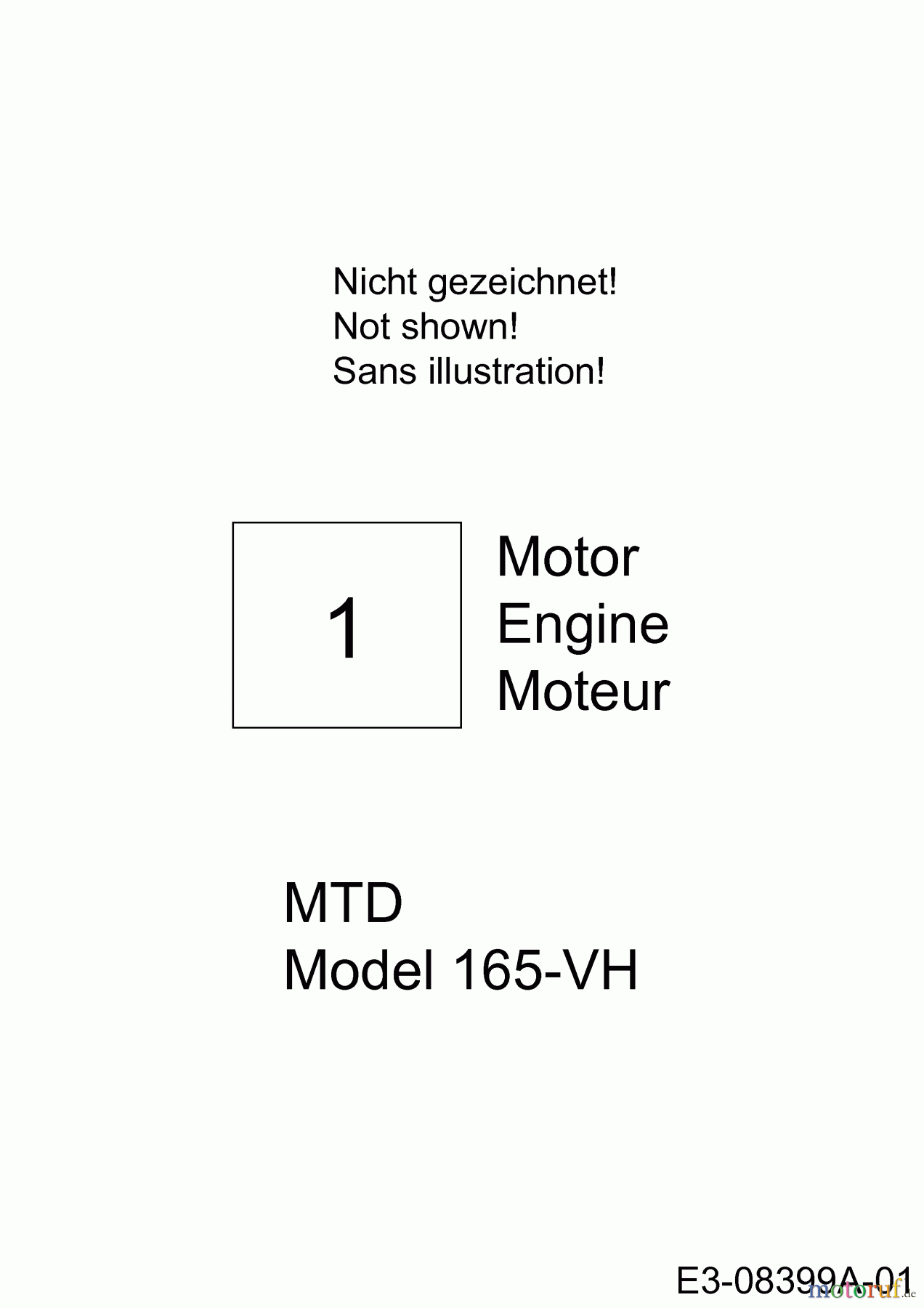 MTD Motorvertikutierer VG 45 BM 16CH6AMV600  (2013) Motor MTD